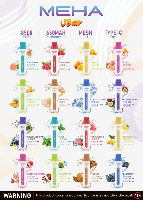 1月新品💥MEHA魅嗨8500口 / 可充電(買10隻送一隻)